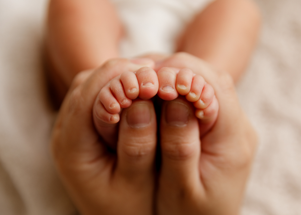 AlexNB2025-3 AlexNB2025 3