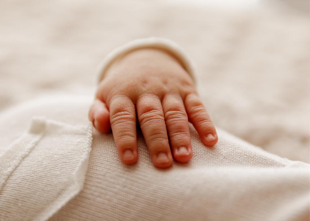 AlexNB2025-6 AlexNB2025 6